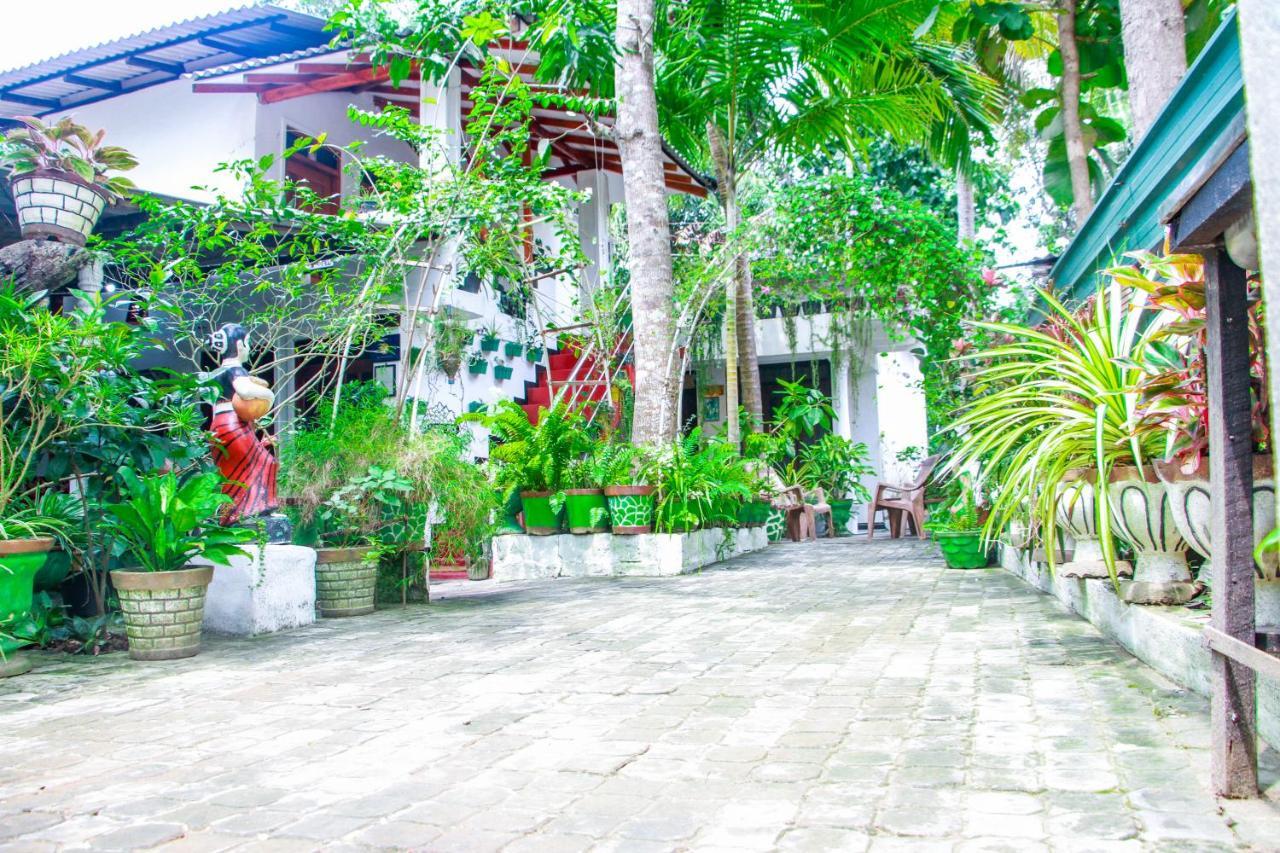 Sigiri Tarushan Home Stay Sigiriya Buitenkant foto